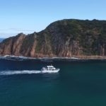 wildlife coast cruises, cape woolamai, phillip island