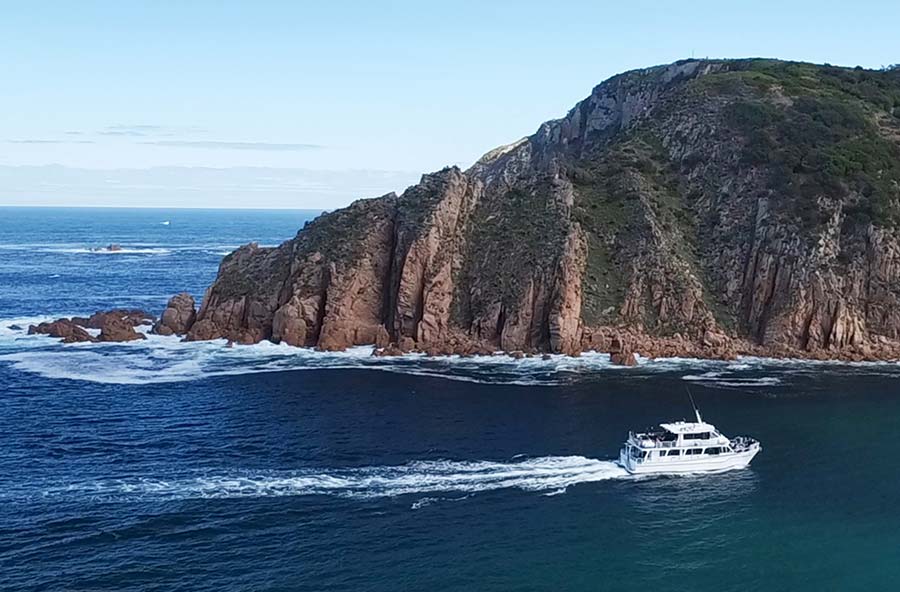 Cape Woolamai Cruise