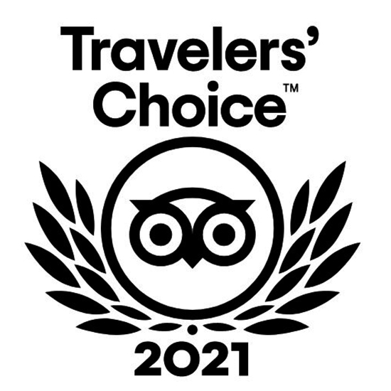 traveler-choic-550x550-2