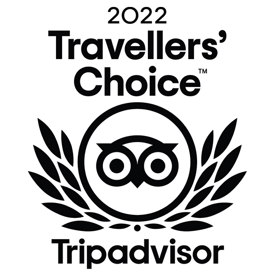 traveler-choic-550x550-3
