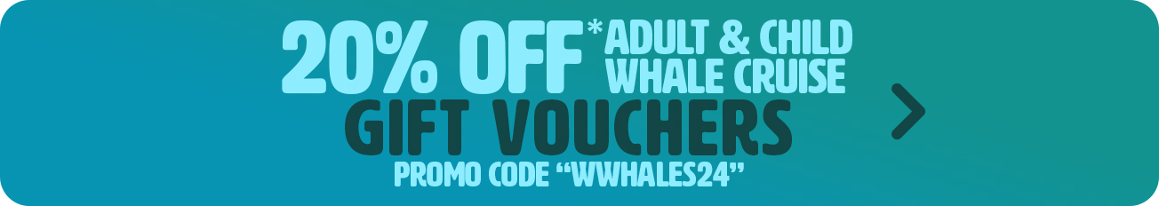20% Off Adult & Child Whale Gift Vouchers